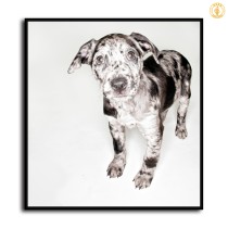 HD Canvas Print Home Decor Paintings Wall Art Pictures-SR120095