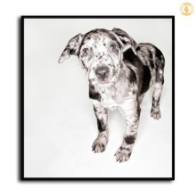 HD Canvas Print Home Decor Paintings Wall Art Pictures-SR120095