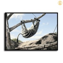 HD Canvas Print Home Decor Paintings Wall Art Pictures-SR--0351