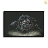 HD Canvas Print Home Decor Paintings Wall Art Pictures-SR100413