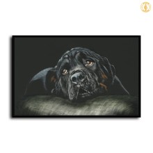 HD Canvas Print Home Decor Paintings Wall Art Pictures-SR100413