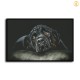 HD Canvas Print Home Decor Paintings Wall Art Pictures-SR100413