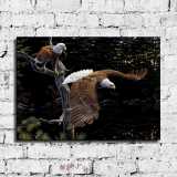 HD Canvas Print Home Decor Paintings Wall Art Pictures-SR-A0582