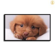 HD Canvas Print Home Decor Paintings Wall Art Pictures-SR109232