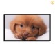 HD Canvas Print Home Decor Paintings Wall Art Pictures-SR109232