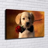 HD Canvas Print Home Decor Paintings Wall Art Pictures-SR-20084