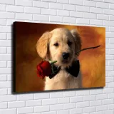 HD Canvas Print Home Decor Paintings Wall Art Pictures-SR-20084