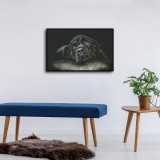 HD Canvas Print Home Decor Paintings Wall Art Pictures-SR100413