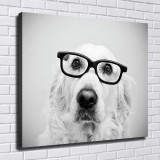 HD Canvas Print Home Decor Paintings Wall Art Pictures-SR120186