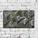 HD Canvas Print Home Decor Paintings Wall Art Pictures-SR-10457