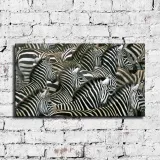 HD Canvas Print Home Decor Paintings Wall Art Pictures-SR-10457