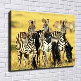 HD Canvas Print Home Decor Paintings Wall Art Pictures-SR-10322