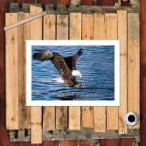 HD Canvas Print Home Decor Paintings Wall Art Pictures-SR-20064