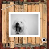 HD Canvas Print Home Decor Paintings Wall Art Pictures-SR120177