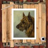 HD Canvas Print Home Decor Paintings Wall Art Pictures-SR120309