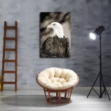 HD Canvas Print Home Decor Paintings Wall Art Pictures-SR119799