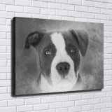HD Canvas Print Home Decor Paintings Wall Art Pictures-SR111761