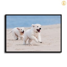 HD Canvas Print Home Decor Paintings Wall Art Pictures-SR100986
