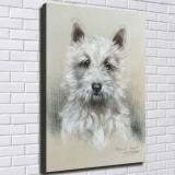 HD Canvas Print Home Decor Paintings Wall Art Pictures-SR120337