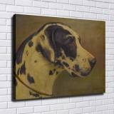 HD Canvas Print Home Decor Paintings Wall Art Pictures-SR120382