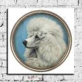 HD Canvas Print Home Decor Paintings Wall Art Pictures-SR120325