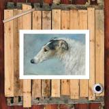 HD Canvas Print Home Decor Paintings Wall Art Pictures-SR120380
