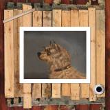 HD Canvas Print Home Decor Paintings Wall Art Pictures-SR120369