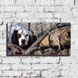 HD Canvas Print Home Decor Paintings Wall Art Pictures-SR-A0364