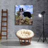 HD Canvas Print Home Decor Paintings Wall Art Pictures-SR-A0455