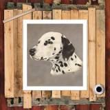 HD Canvas Print Home Decor Paintings Wall Art Pictures-SR120348