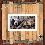 HD Canvas Print Home Decor Paintings Wall Art Pictures-SR-A0364