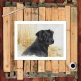 HD Canvas Print Home Decor Paintings Wall Art Pictures-SR120371