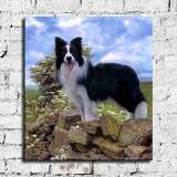 HD Canvas Print Home Decor Paintings Wall Art Pictures-SR-A0455
