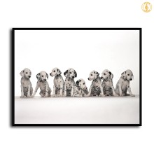 HD Canvas Print Home Decor Paintings Wall Art Pictures-SR--A943
