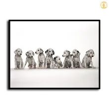 HD Canvas Print Home Decor Paintings Wall Art Pictures-SR--A943