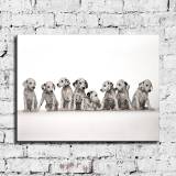 HD Canvas Print Home Decor Paintings Wall Art Pictures-SR--A943