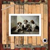 HD Canvas Print Home Decor Paintings Wall Art Pictures-SR120367