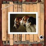 HD Canvas Print Home Decor Paintings Wall Art Pictures-SR120375
