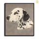 HD Canvas Print Home Decor Paintings Wall Art Pictures-SR120348
