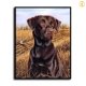HD Canvas Print Home Decor Paintings Wall Art Pictures-SR-A0429