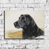 HD Canvas Print Home Decor Paintings Wall Art Pictures-SR120372