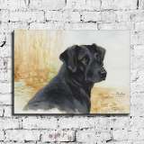 HD Canvas Print Home Decor Paintings Wall Art Pictures-SR120371