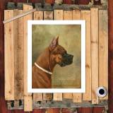 HD Canvas Print Home Decor Paintings Wall Art Pictures-SR120350