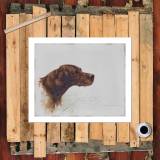HD Canvas Print Home Decor Paintings Wall Art Pictures-SR120386