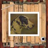 HD Canvas Print Home Decor Paintings Wall Art Pictures-SR120382