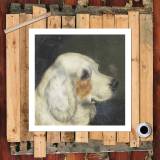 HD Canvas Print Home Decor Paintings Wall Art Pictures-SR120322