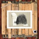 HD Canvas Print Home Decor Paintings Wall Art Pictures-SR120387