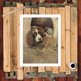 HD Canvas Print Home Decor Paintings Wall Art Pictures-SR120345