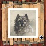 HD Canvas Print Home Decor Paintings Wall Art Pictures-SR120341