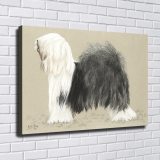 HD Canvas Print Home Decor Paintings Wall Art Pictures-SR120387